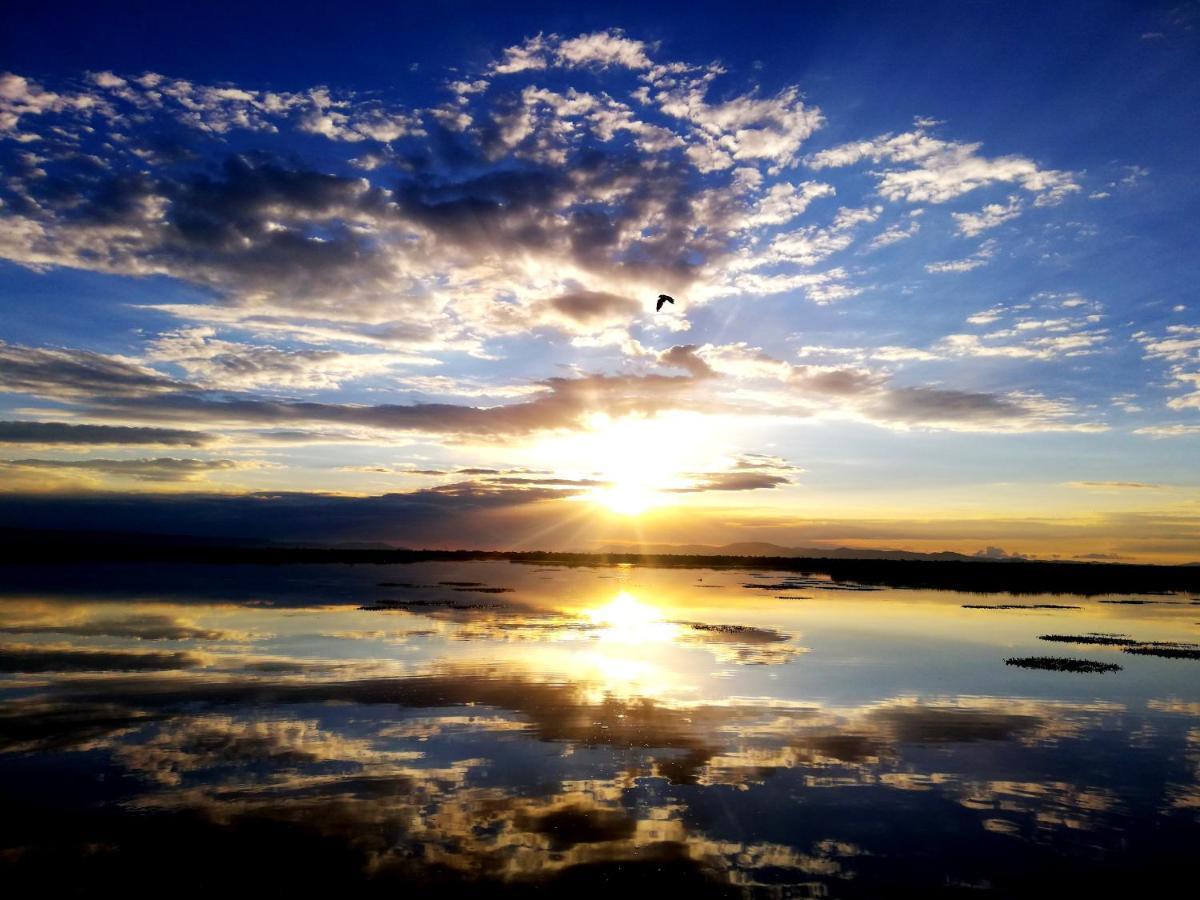 Titicaca Hostel ปูโน ภายนอก รูปภาพ